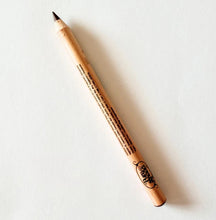 Load image into Gallery viewer, PURE ANADA Eyeliner Pencils
